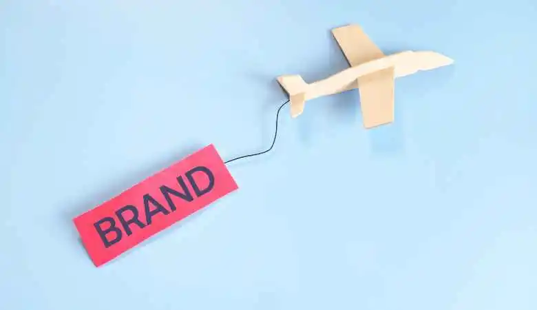 Brands and Consumers