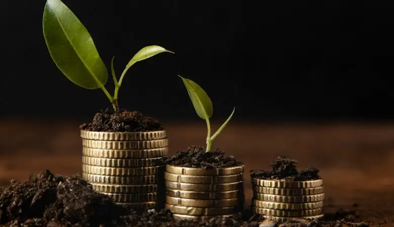 Mutual Funds Investment