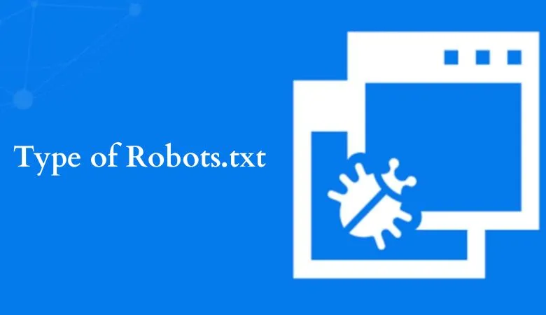 Type of Robots.txt